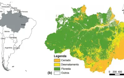 Parceria com o Censipam vai atualizar os dados do projeto TerraClass Amazônia