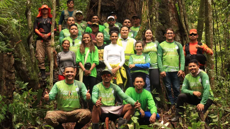 Um possível novo parque para proteção das Árvores Gigantes da Amazônia