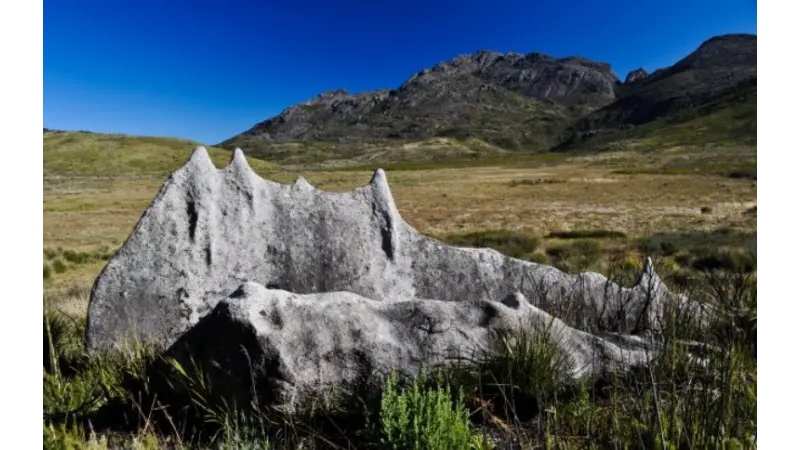 Parque Nacional do Itatiaia recebe doação de 52 hectares