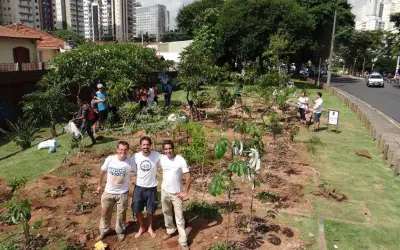 Paulistanos se unem para criar miniflorestas públicas na cidade
