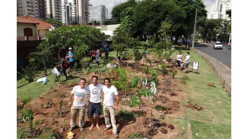 Paulistanos se unem para criar miniflorestas públicas na cidade