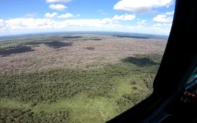 Pecuarista desmata o Pantanal com substância altamente tóxica