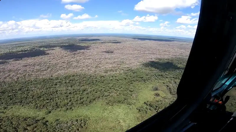 Pecuarista desmata o Pantanal com substância altamente tóxica