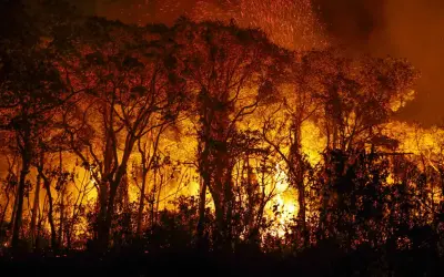 Penas mais severas são sugeridas para crimes relacionados a incêndios florestais