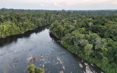 Perda de vegetação da Amazônia é um dano que vai além daquele causado à floresta ou à agricultura