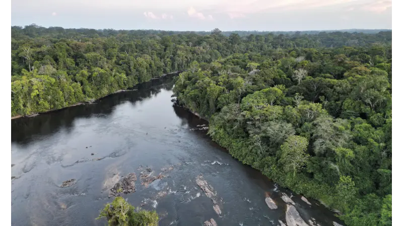 Perda de vegetação da Amazônia é um dano que vai além daquele causado à floresta ou à agricultura