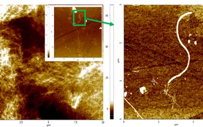 Pesquisadores utilizam nanofibras de celulose para produzir hidrogênio