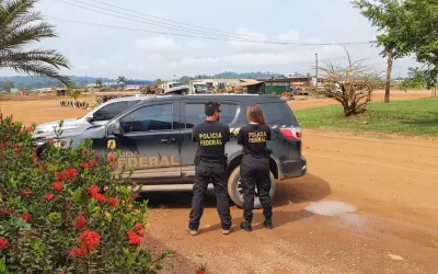 PF aponta mais de 700 hectares de desmatamento ilegal na Floresta Nacional do Jamanxim, sudoeste do PA