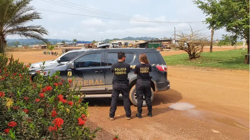 PF aponta mais de 700 hectares de desmatamento ilegal na Floresta Nacional do Jamanxim, sudoeste do PA