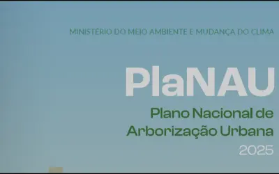 PLANAU 2025: O BRASIL LANÇA O PRIMEIRO PLANO NACIONAL DE ARBORIZAÇÃO URBANA — E AGORA, O QUE MUDA PARA AS CIDADES?