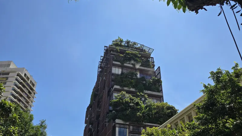 Plano Nacional de Arborização Urbana (PlaNAU): rumo a cidades mais verdes e sustentáveis