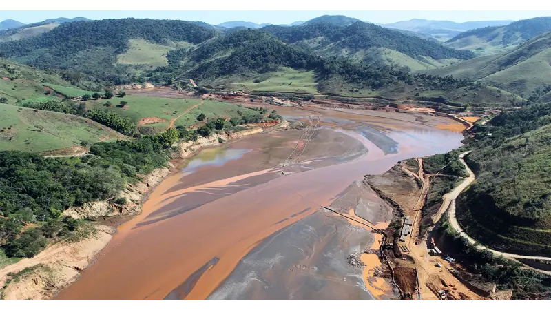 Plantas nativas contribuem para extração de metais pesados do solo na região do rio Doce