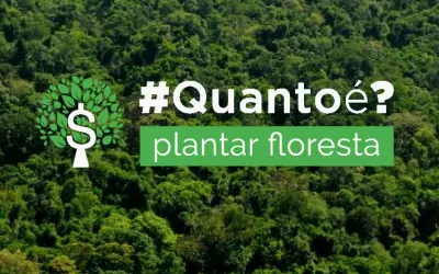 Plataforma calcula investimento para recuperar floresta nas propriedades