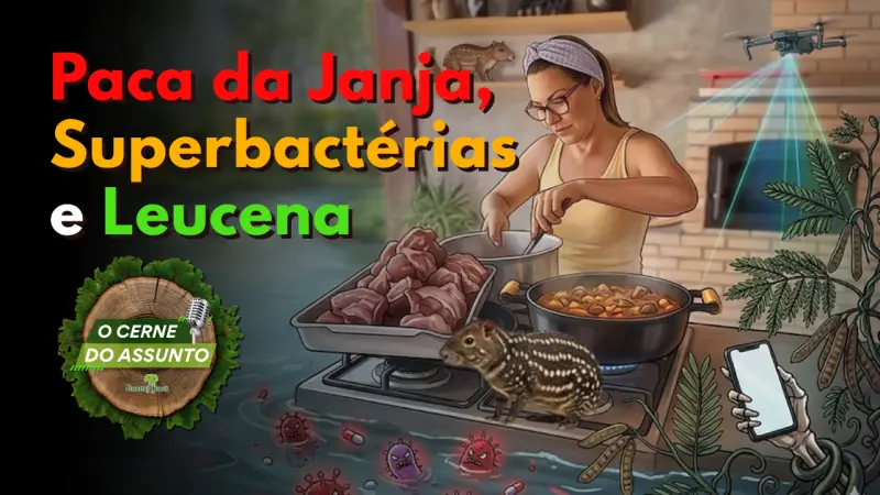 [PODCAST] Paca da Janja, Superbactérias nos rios e Drones contra as Leucenas - O Cerne do Assunto