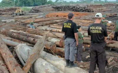 Polícia Federal deflagra a Operação SOS Jamanxim