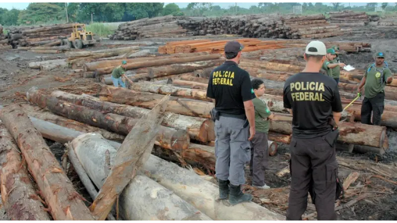 Polícia Federal deflagra a Operação SOS Jamanxim