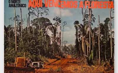 Por que a pauta Ambiental é negligenciada ou usada somente para fins políticos?