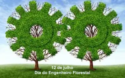 Por que em 12 de julho é comemorado o Dia do Engenheiro florestal?