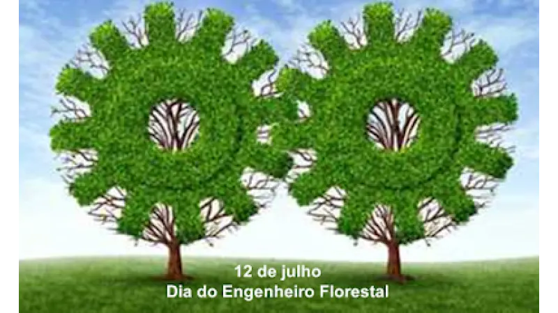 Por que em 12 de julho é comemorado o Dia do Engenheiro florestal?