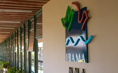 Por que o Brasil multa infratores ambientais e as multas não são pagas?
