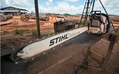 Por que proteger a Amazônia e deixar a floresta intacta faz mais sentido para a economia?