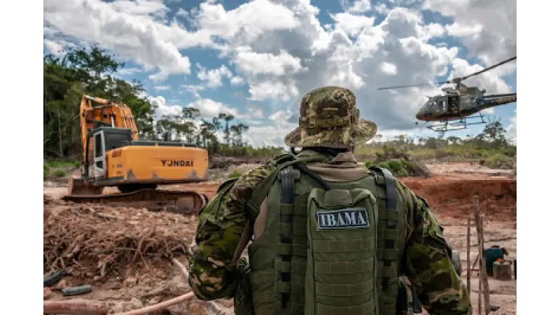 Por que servidores ambientais paralisaram as operações?
