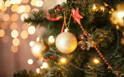 Por que o pinheiro é a árvore de natal?