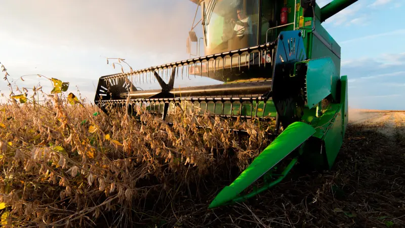Porque tantos pedidos de recuperação judicial no Agro?