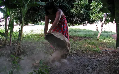 Possível origem da terra preta de índio na Amazônia