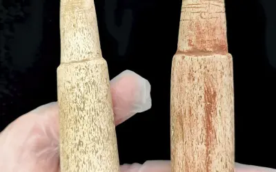 Caçadores dos mares do Sul: estudo revela que povos dos sambaquis caçavam baleias há 5 mil anos