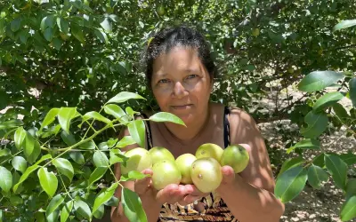 Povos tradicionais se unem para resgatar frutas nativas na transição entre Caatinga e Cerrado