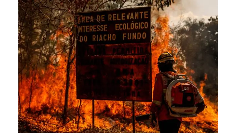 “Precisamos reconhecer que o fogo está sendo usado como ferramenta de desmatamento, não é mais apenas um reflexo de anos secos”, diz ecóloga da Unesp