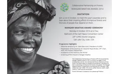 Prêmio Wangari Maathai 2014