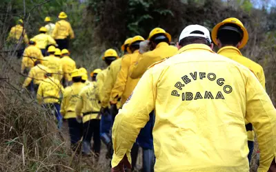 Processo Seletivo IBAMA 2022: Sai edital com 1.143 vagas de até R$ 6 mil na Prevfogo
