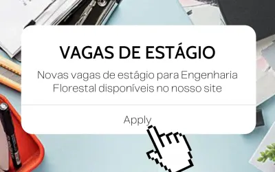 Processos seletivos para estágio em andamento