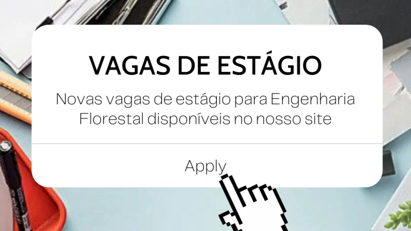 Processos seletivos para estágio em andamento