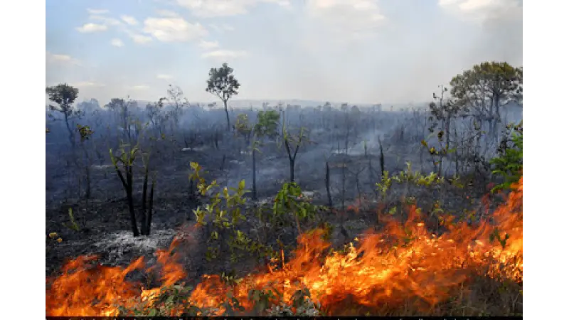 Produtores rurais tomam cuidados para evitar incendios nos meses secos no MT