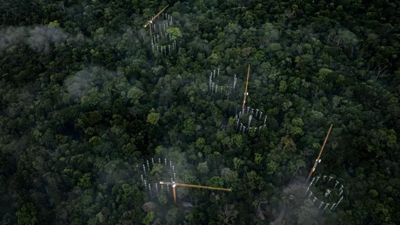 O Futuro Respirável: Como a Amazônia vai reagir a uma atmosfera rica em CO2 com o Projeto AmazonFace