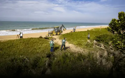 Projeto ambiental em Macaé chama atenção nas redes e reacende debate sobre restauração de restingas