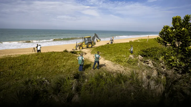 Projeto ambiental em Macaé chama atenção nas redes e reacende debate sobre restauração de restingas