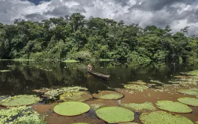 Projeto de lei ambiental do Parlamento Europeu provoca preocupações e elogios