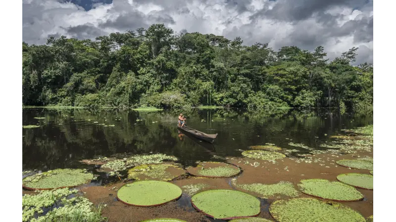 Projeto de lei ambiental do Parlamento Europeu provoca preocupações e elogios
