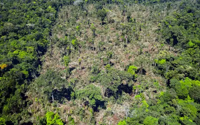 Projeto entre USP e Ibama propõe avaliação de indicadores sobre desmatamento na Amazônia