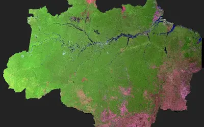 Projeto PRODES estima 7.989 km2 de desmatamento na Amazônia em 2016