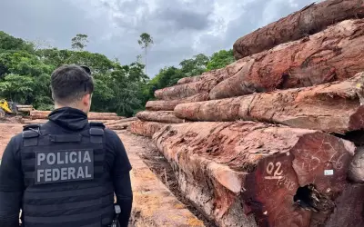 Projeto propõe criminalizar ecocídio no Brasil com penas de até 40 anos