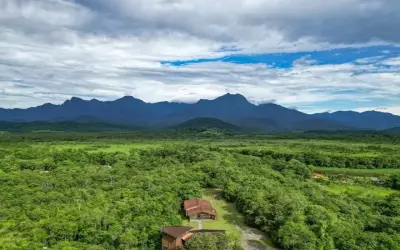 Projeto visa salvar 50 hectares de mata nativa e 77 espécies no Litoral do Paraná