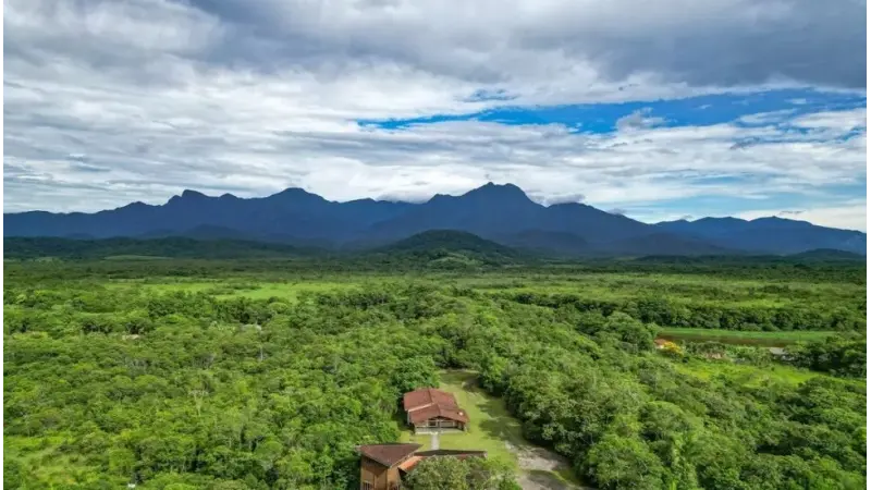 Projeto visa salvar 50 hectares de mata nativa e 77 espécies no Litoral do Paraná