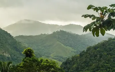 Proteção Insuficiente: Áreas de Alta Biodiversidade em Zonas Protegidas Sofrem Degradação Acelerada