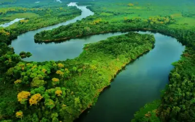 Qual a importância das Matas Ciliares para a biodiversidade Brasileira?