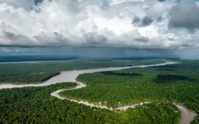 Quase metade da Amazônia Legal é área protegida: dados revelam o tamanho do desafio da conservação